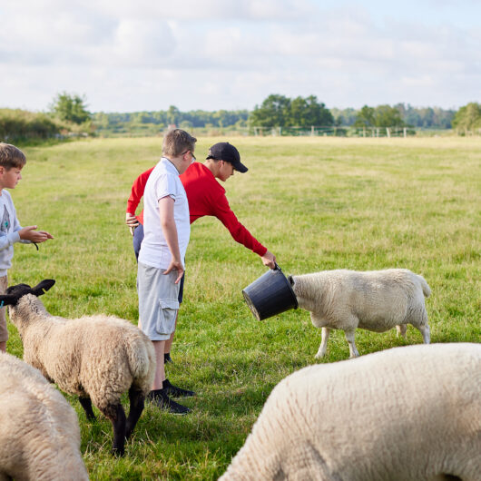 College Farm