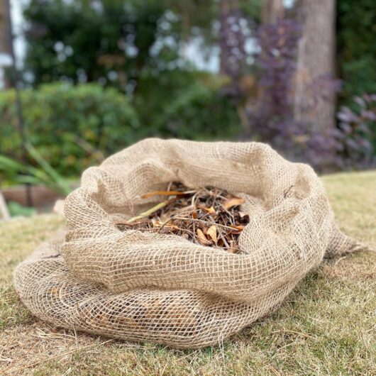 Compostable Biodegradable Leaf Mould Sacks Bags - Pack of 10