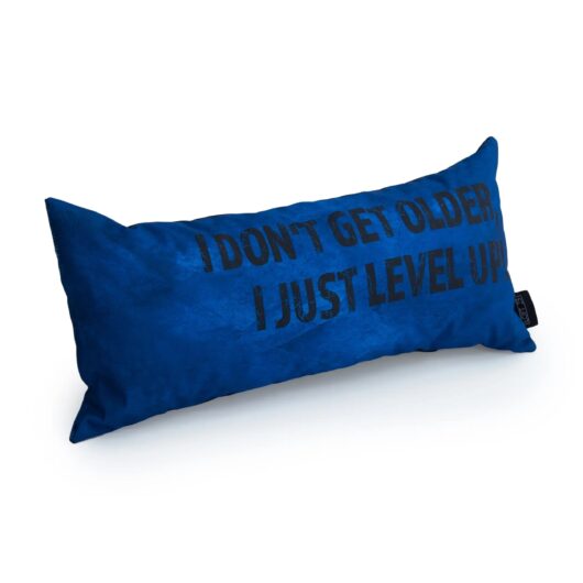 Gaming Cushion - I Don't Get Older, I Just Level Up! - Blue