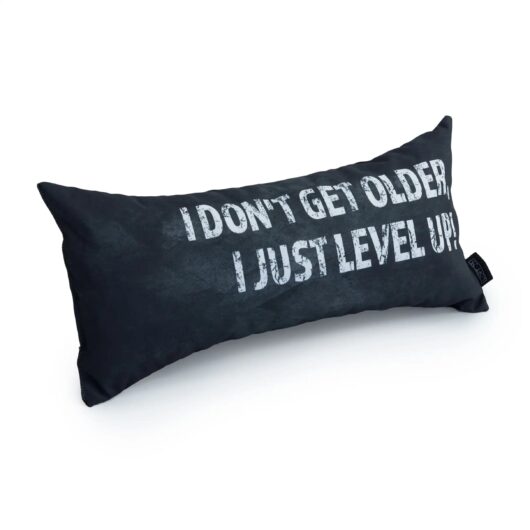Gaming Cushion - I Don't Get Older, I Just Level Up! - Grey