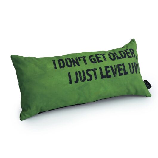 Gaming Cushion - I Don't Get Older, I Just Level Up! - Lime