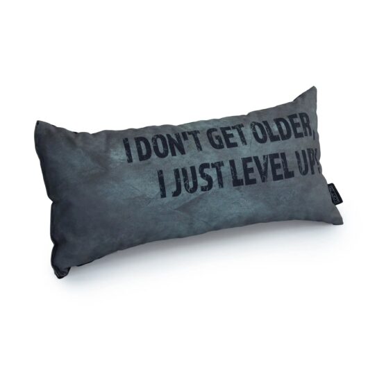 Gaming Cushion - I Don't Get Older, I Just Level Up! - Silver