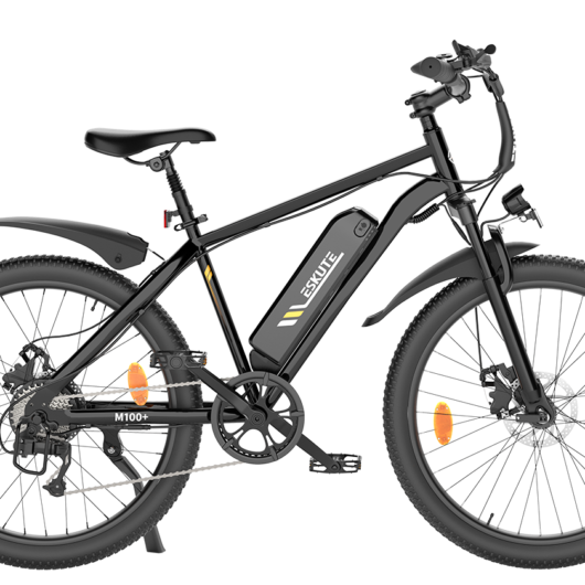 M100+ 2025 Electric Mountain Bike