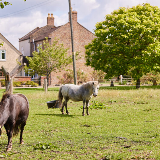 Moor Farm