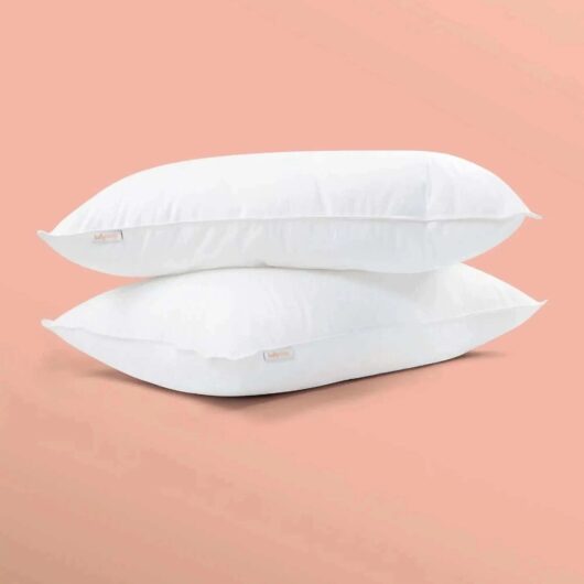 5 Star Hotel Pillows (Twin Pack)