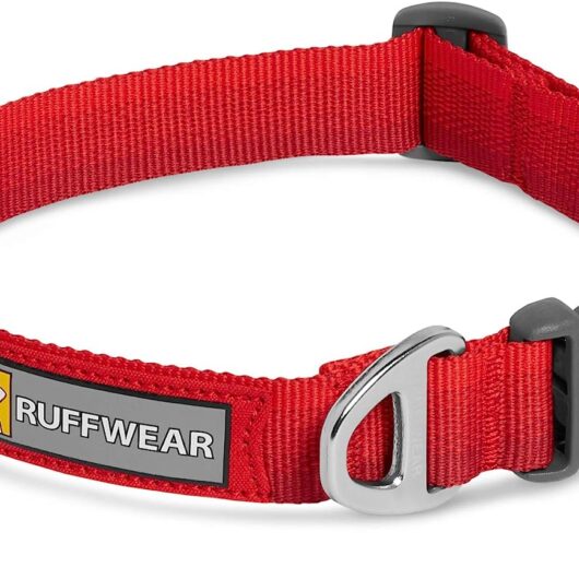 Front Range™ Collar