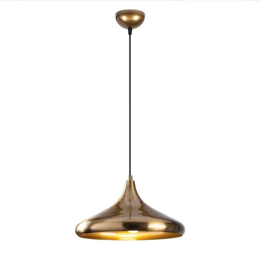 Berceste Metal Dome Ceiling Pendant Light in Gold