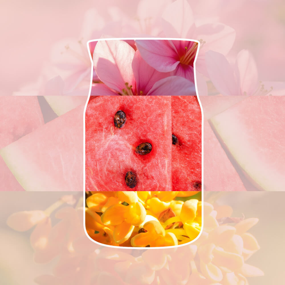 Pink Sands
